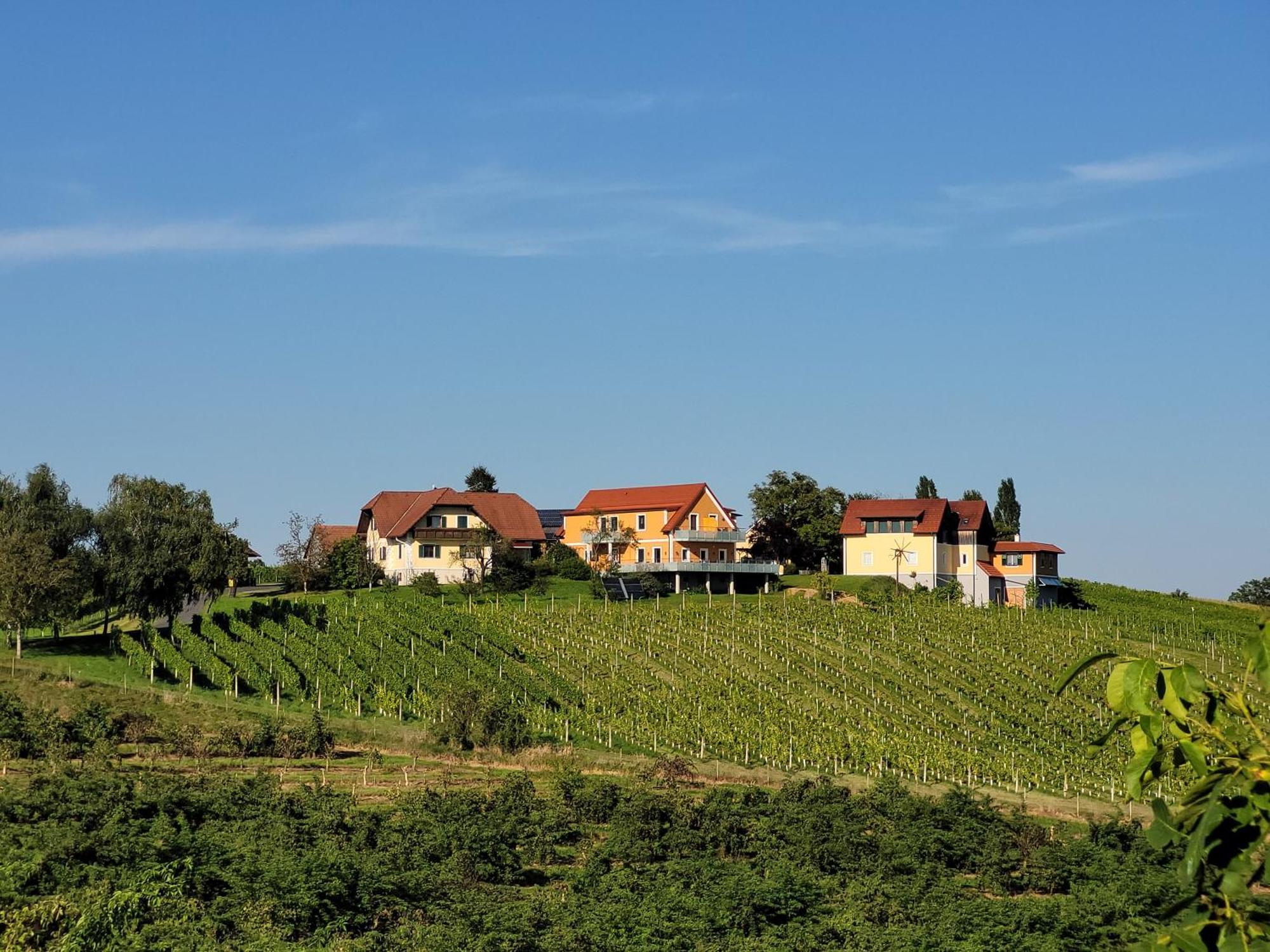 Weinhof Reichmann Bed and Breakfast Sankt Peter am Ottersbach Exteriör bild
