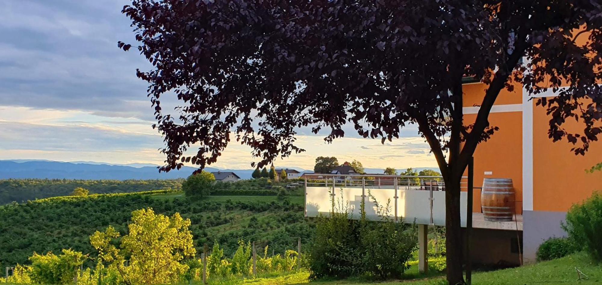Weinhof Reichmann Bed and Breakfast Sankt Peter am Ottersbach Exteriör bild