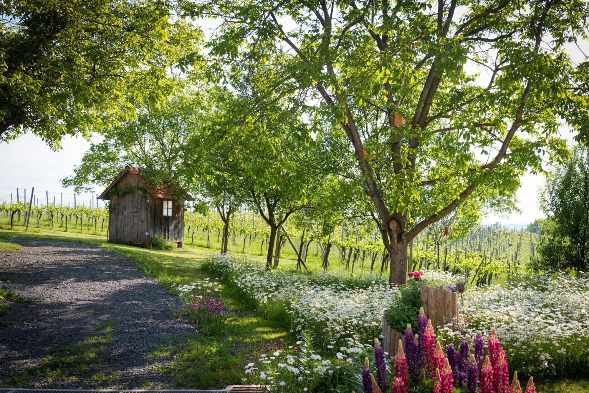 Weinhof Reichmann Bed and Breakfast Sankt Peter am Ottersbach Exteriör bild